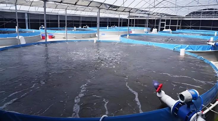 水产养殖增氧风机为何更倾向于空气悬浮风机？
